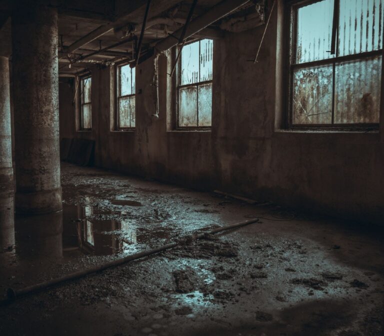 5 Principles Used to Dry Out a Water Damaged Building